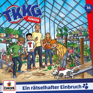 Folge 32: Ein rätselhafter Einbruch als Hörbuch