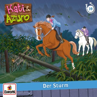 Folge 39: Der Sturm als Hörbuch