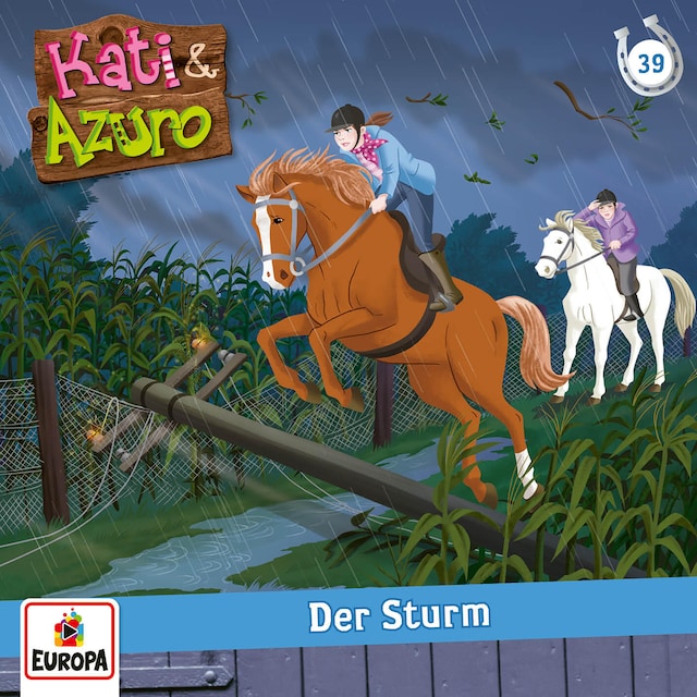Buchcover für Folge 39: Der Sturm