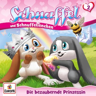 Folge 02: Die bezaubernde Prinzessin als Hörbuch