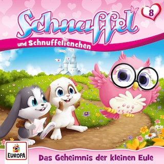 Folge 08: Das Geheimnis der kleinen Eule als Hörbuch