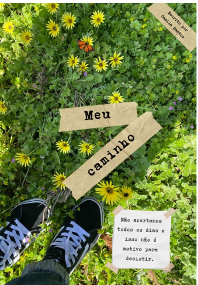 Couverture de livre pour Meu Caminho