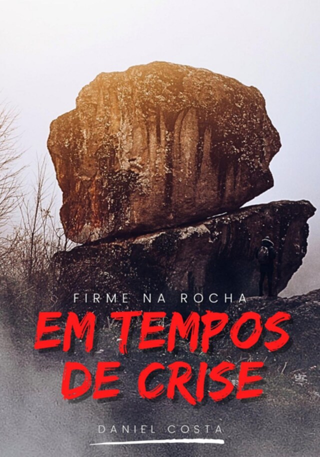 Couverture de livre pour Firme Na Rocha Em Tempos De Crise