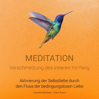 Meditation für die Verschmelzung des inneren YinYang bookCoverFor