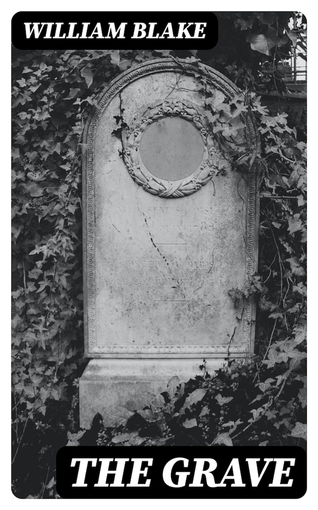 Buchcover für The Grave