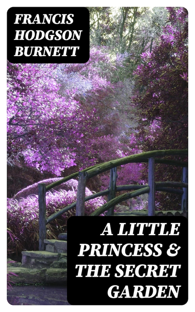 Book cover for A Little Princess & The Secret Garden