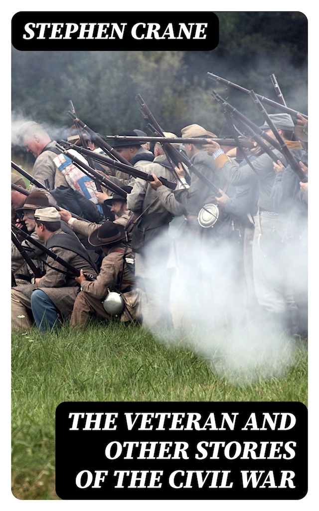 The Veteran and Other Stories of the Civil War Book cover for The Veteran and Other Stories of the Civil War