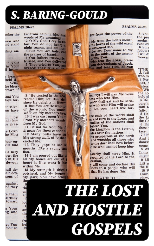 Book cover for The Lost and Hostile Gospels