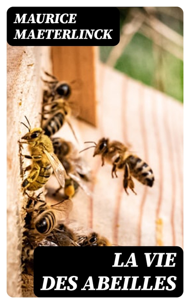 Book cover for La vie des abeilles