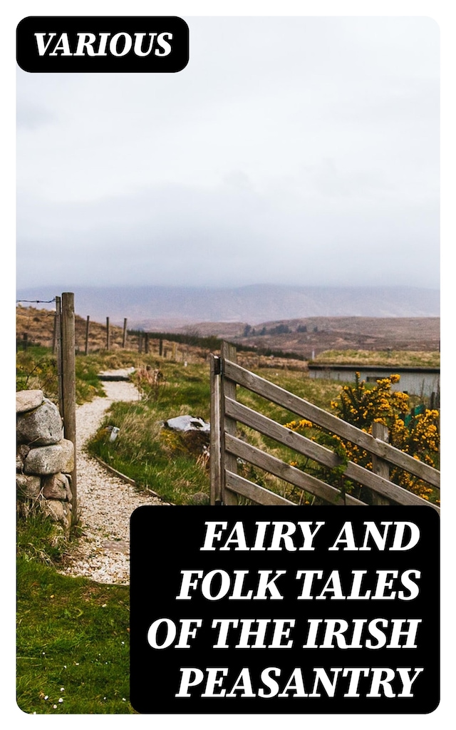 Copertina del libro per Fairy and Folk Tales of the Irish Peasantry