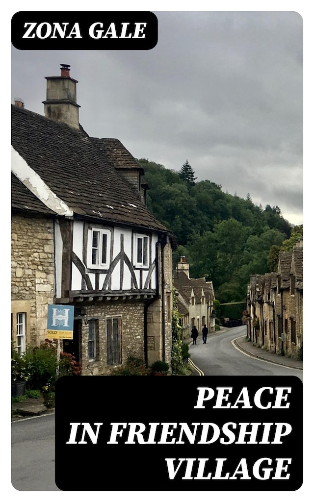 Buchcover für Peace in Friendship Village