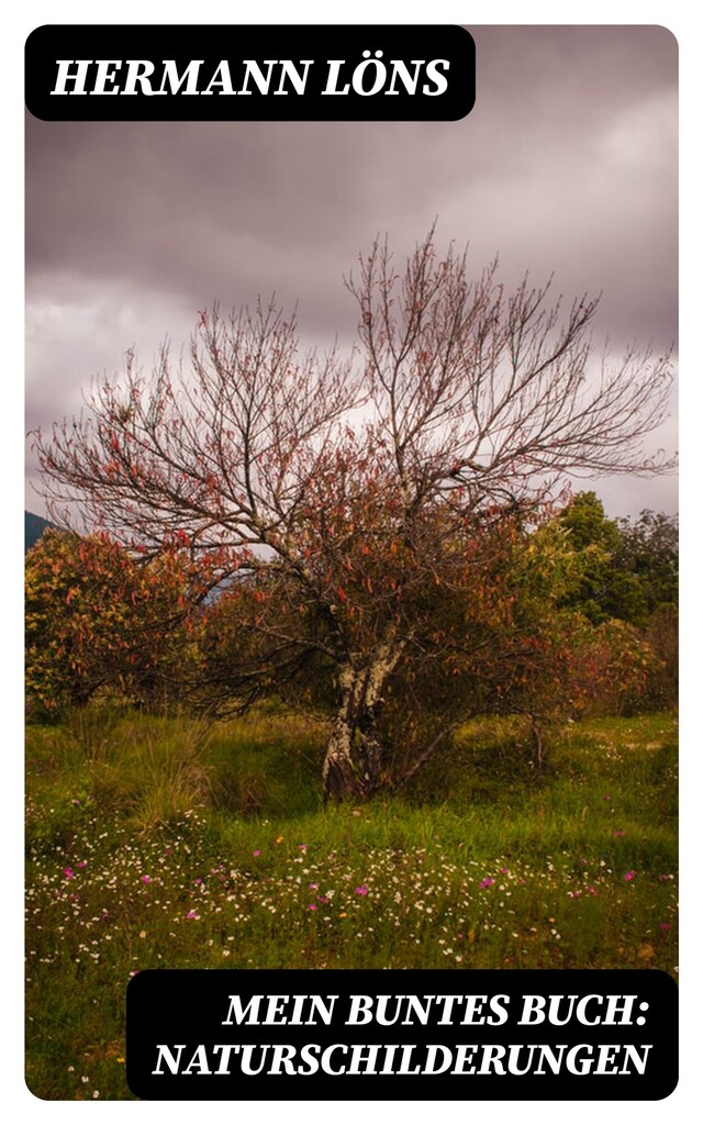 Copertina del libro per Mein buntes Buch: Naturschilderungen