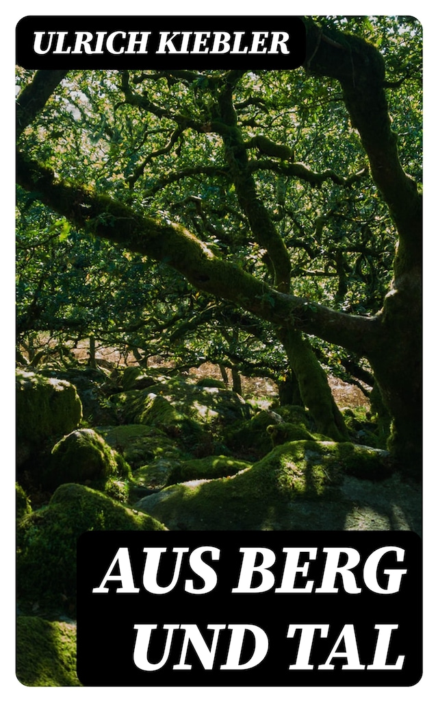 Copertina del libro per Aus Berg und Tal