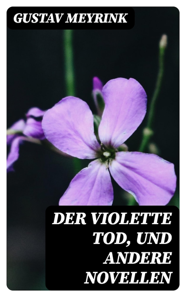 Kirjankansi teokselle Der violette Tod, und andere Novellen