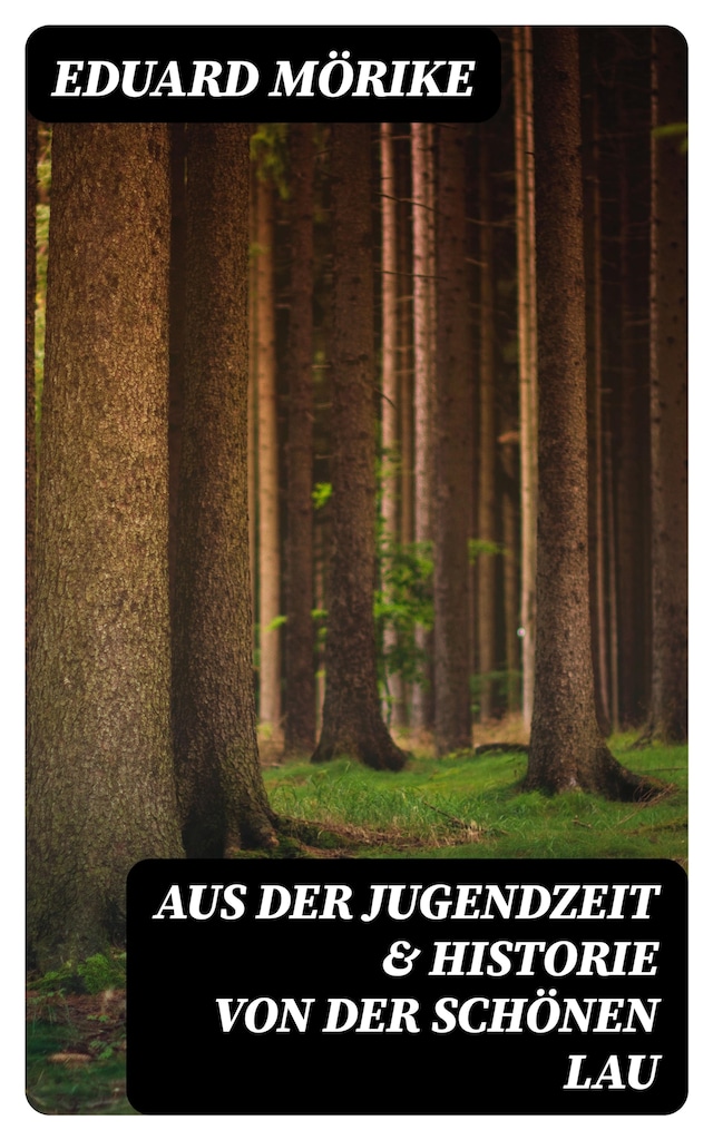 Okładka książki dla Aus der Jugendzeit & Historie von der schönen Lau