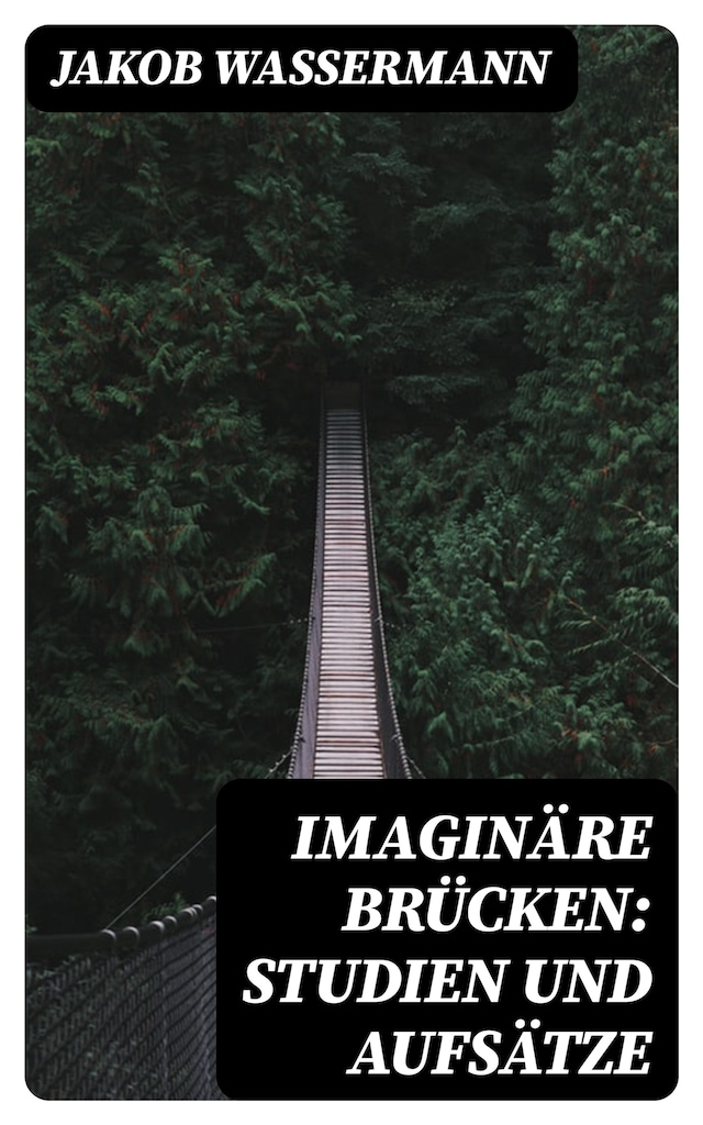 Imaginäre Brücken: Studien und Aufsätze
