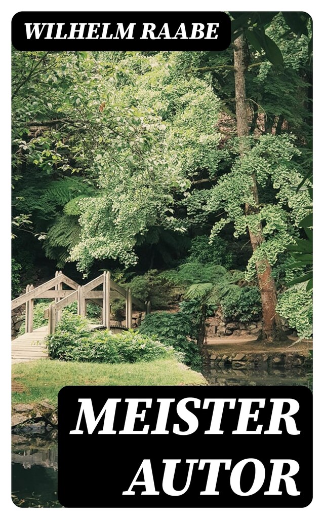 Book cover for Meister Autor