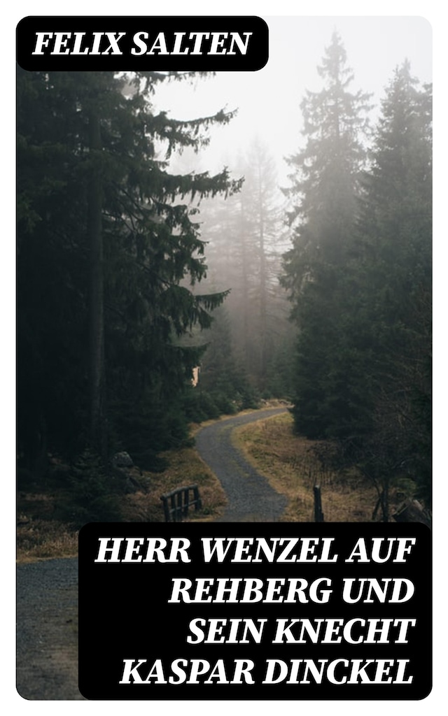 Book cover for Herr Wenzel auf Rehberg und sein Knecht Kaspar Dinckel