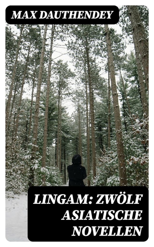 Book cover for Lingam: Zwölf asiatische Novellen
