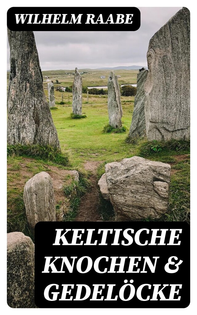 Copertina del libro per Keltische Knochen & Gedelöcke