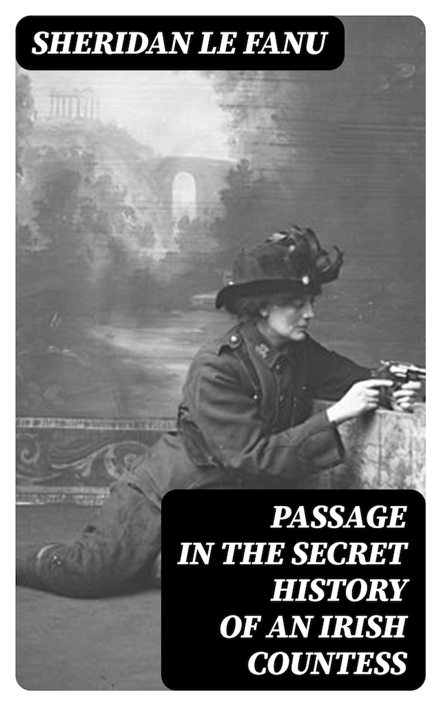 Buchcover für Passage in the Secret History of an Irish Countess