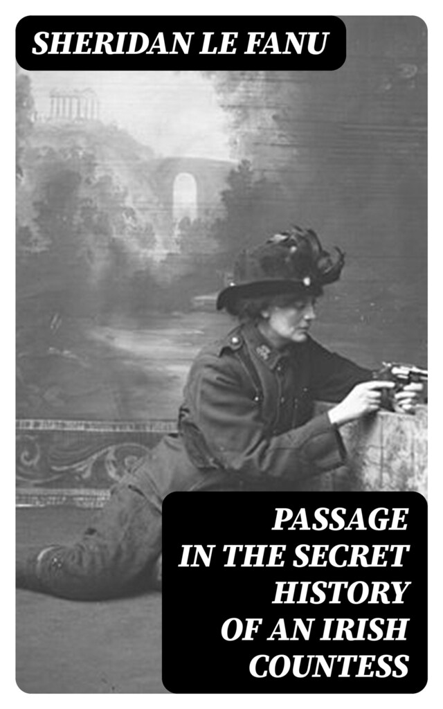 Book cover for Passage in the Secret History of an Irish Countess