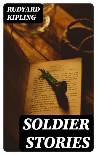 Soldier Stories bookCoverFor
