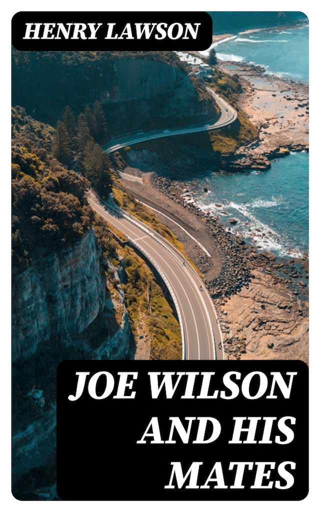 Couverture de livre pour Joe Wilson and His Mates
