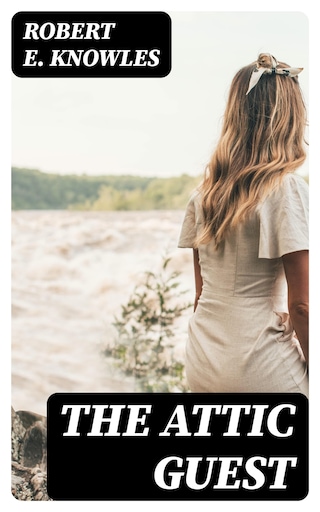 The Attic Guest bookCoverFor