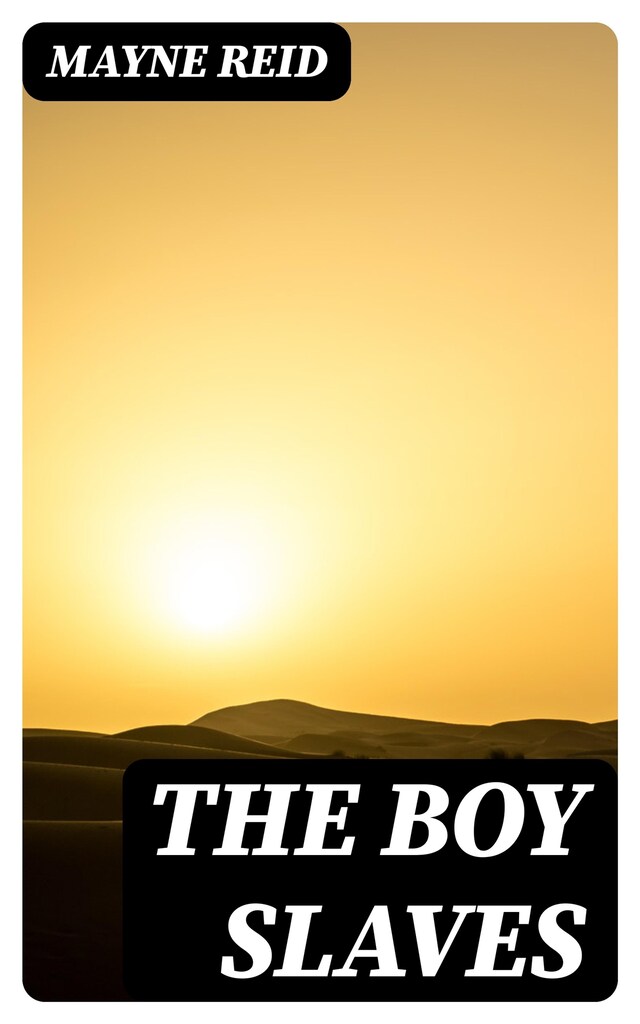 Book cover for The Boy Slaves