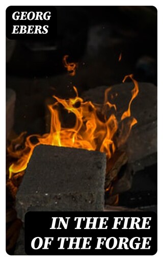 In the Fire of the Forge bookCoverFor