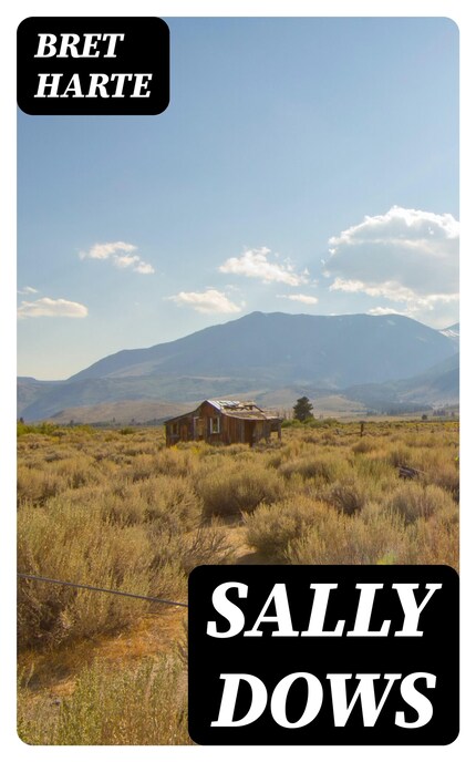 Sally Dows bookCoverFor