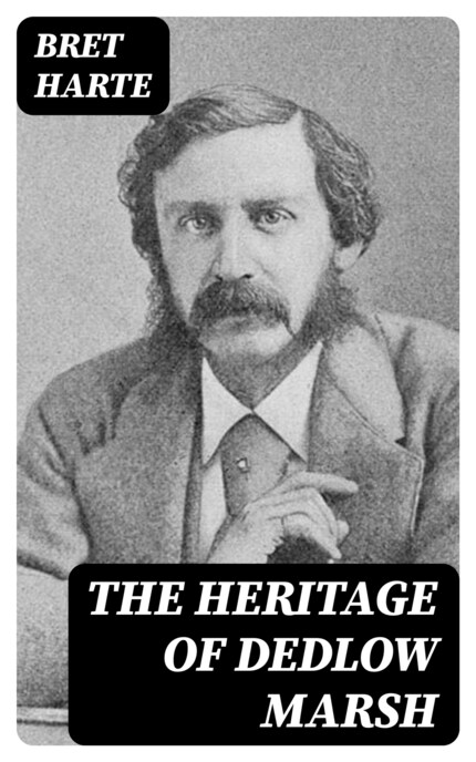 The Heritage of Dedlow Marsh bookCoverFor
