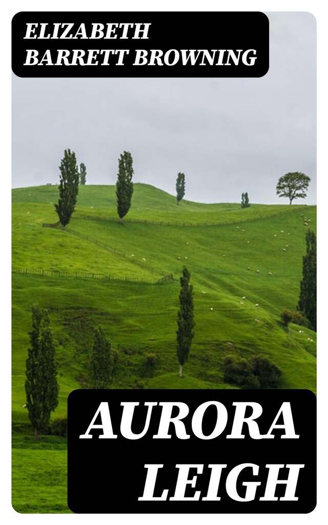 Book cover for Aurora Leigh