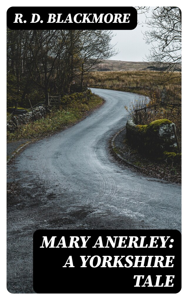 Book cover for Mary Anerley: A Yorkshire Tale