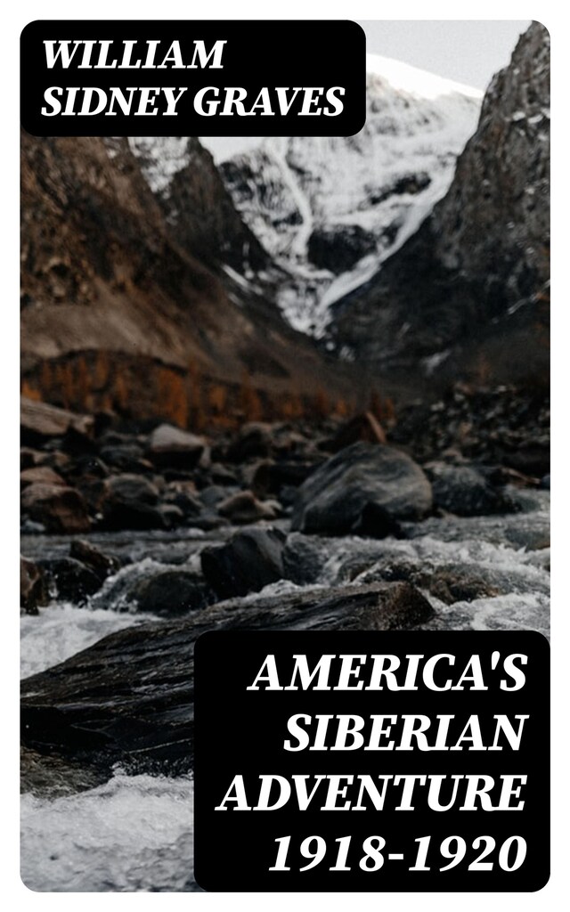 Book cover for America's Siberian Adventure 1918-1920