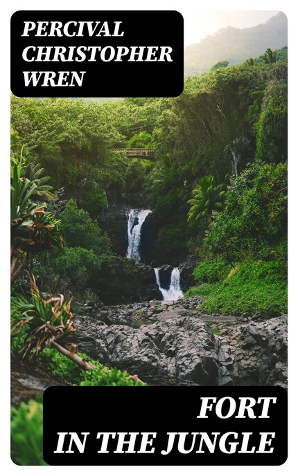 Fort in the Jungle bookCoverFor