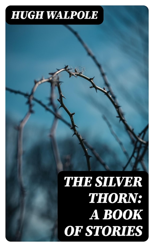 Book cover for The Silver Thorn: A Book of Stories