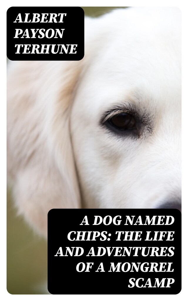 Book cover for A Dog Named Chips: The Life and Adventures of a Mongrel Scamp