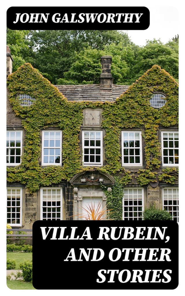 Buchcover für Villa Rubein, and Other Stories