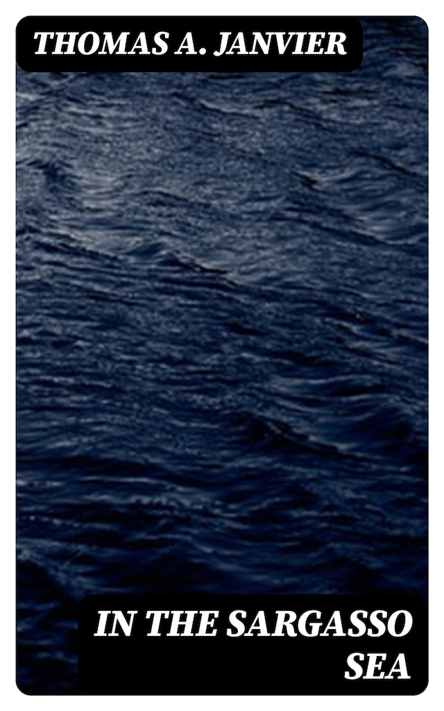 Copertina del libro per In the Sargasso Sea