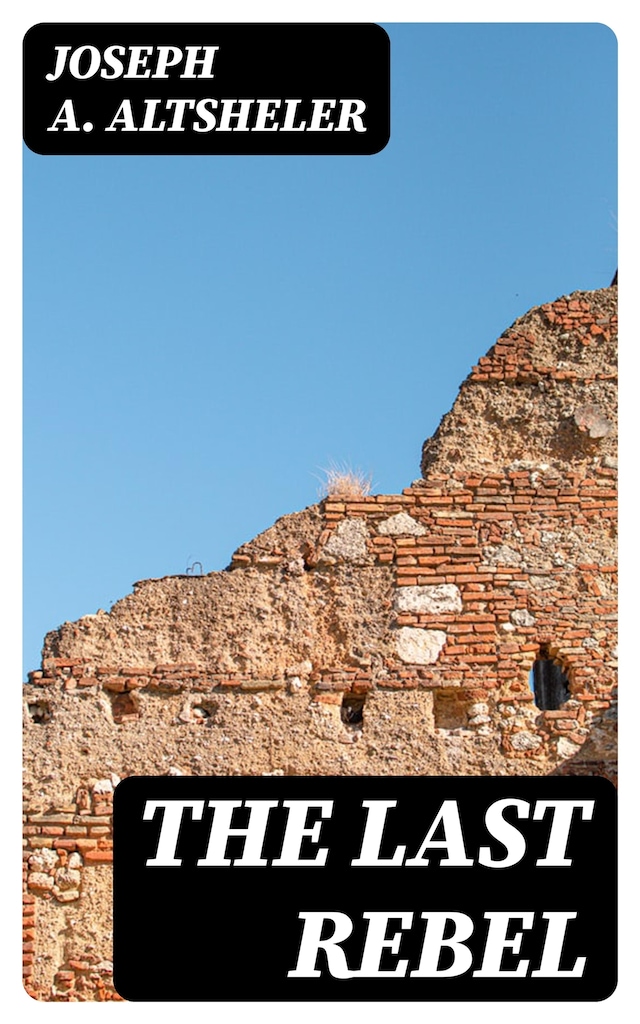 Book cover for The Last Rebel