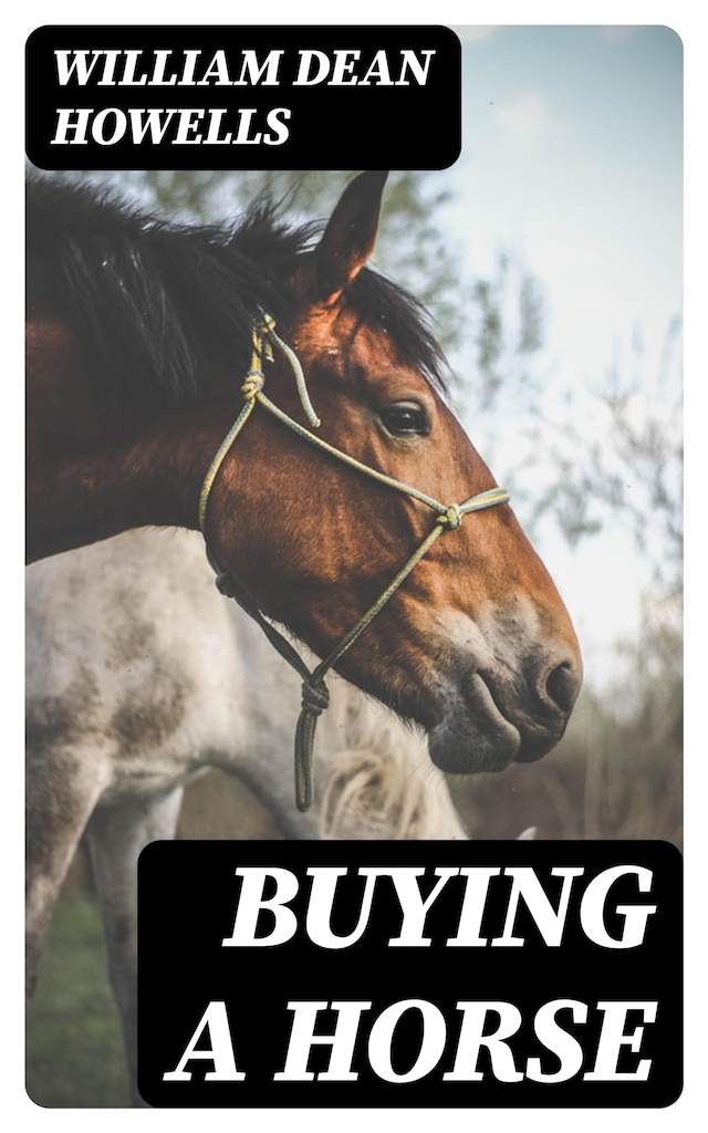 Book cover for Buying a Horse