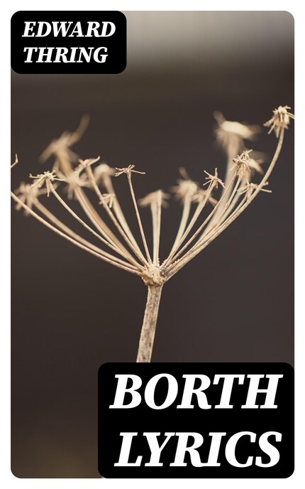 Borth Lyrics bookCoverFor