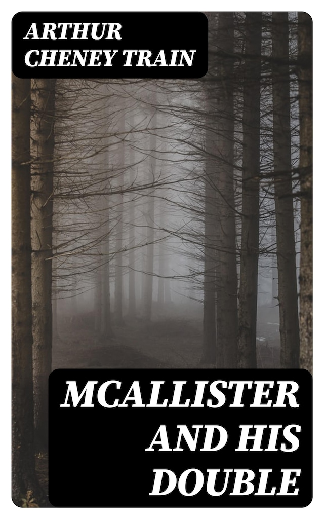 Book cover for McAllister and His Double