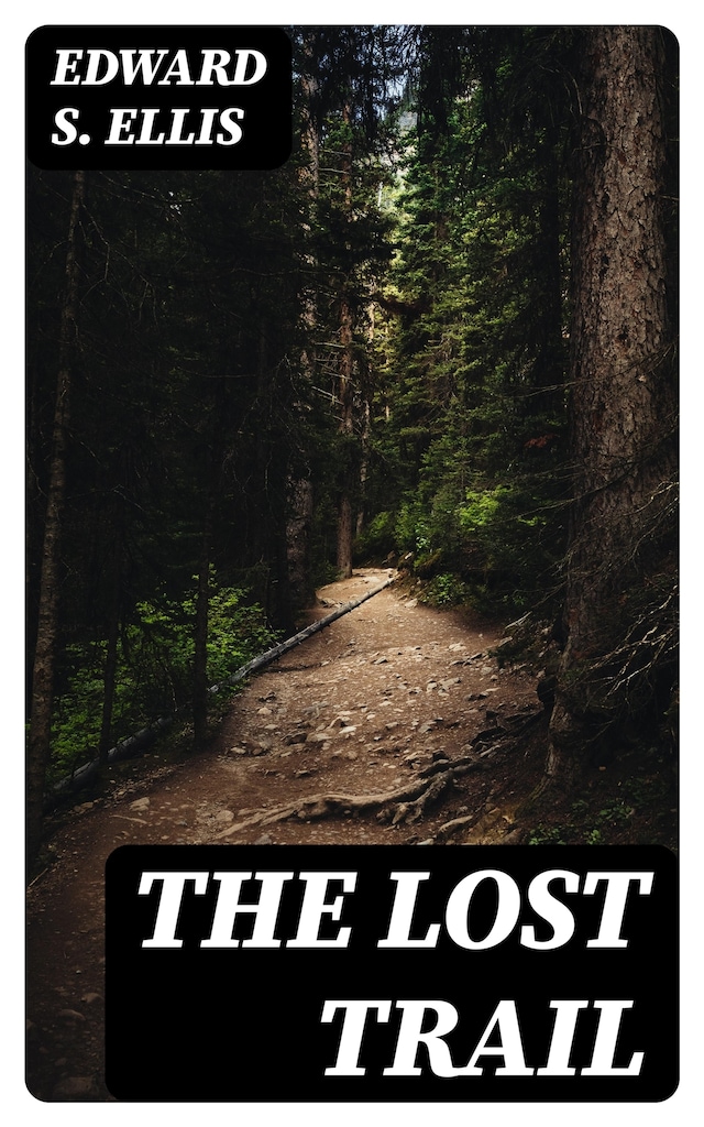 Book cover for The Lost Trail