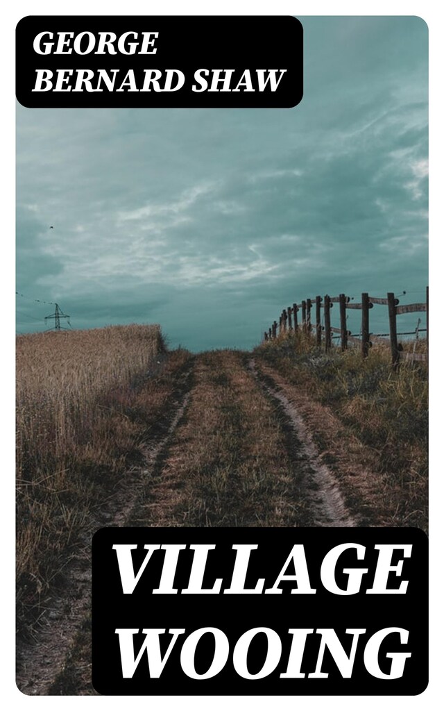 Book cover for Village Wooing