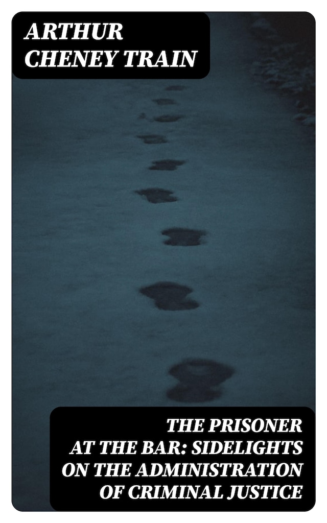 Book cover for The Prisoner at the Bar: Sidelights on the Administration of Criminal Justice