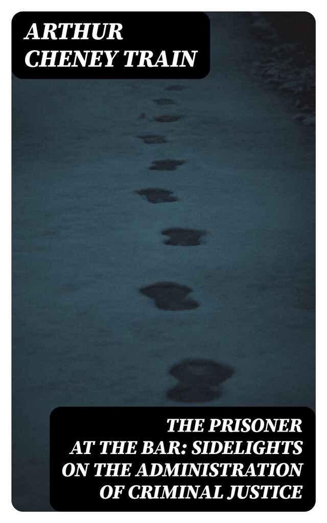 Book cover for The Prisoner at the Bar: Sidelights on the Administration of Criminal Justice