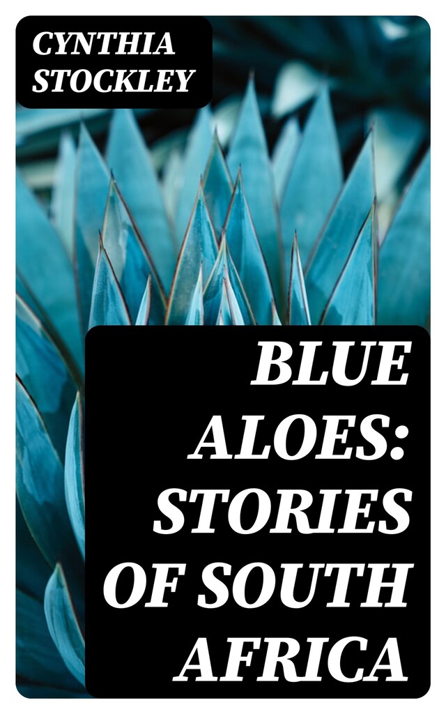 Book cover for Blue Aloes: Stories of South Africa